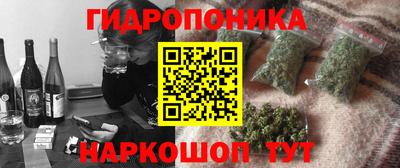 спиды Кимры