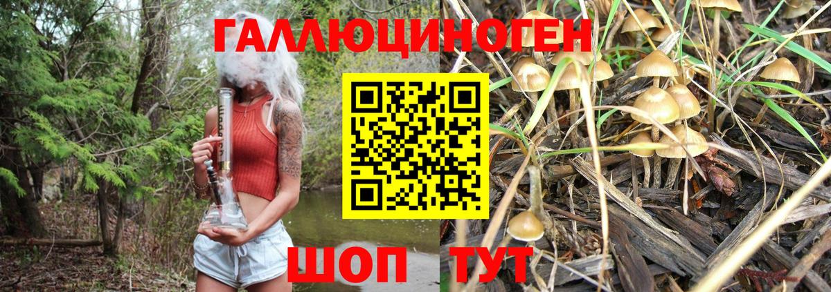 Галлюциногенные грибы прущие грибы Екатеринбург
